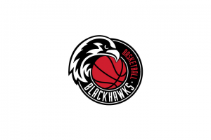 Разработка логотипа баскетбольной команды «BlackHawks»
