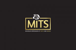 Логотип «MITS»