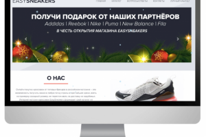 Таргетированная реклама на easysneakers.ru