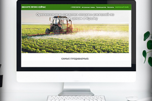 Яндекс Директ для szr-crimea.ru