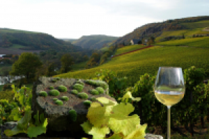 Кулинарная азбука рецепт с винами Эльзаца