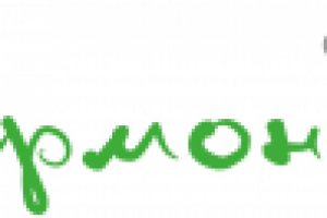 Реабилитационный центр для несовершеннолетних "Гармония" вар1