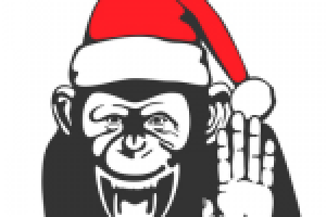 Шимпанзе 2016