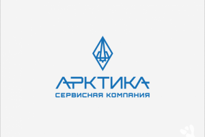 СК Арктика, брендинг