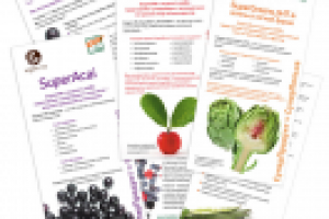 Флаеры для LookBio