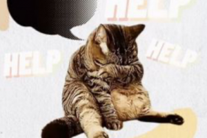 Промо Уход за животными