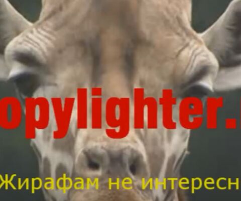 img1446089.png