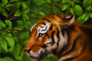 Тигр,часть иллюстрации для книги.