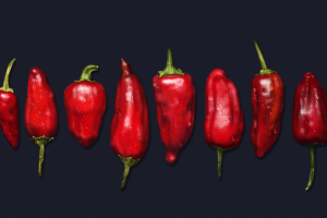 Перчики иллюстрация