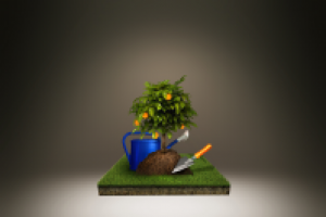 Иконка для сайта (Ландшафтный дизайн)