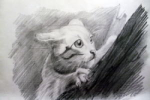 Кошка на дереве,рисунок карандашом