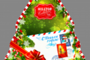 Елочка.Новогодняя упаковка 4