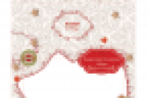 Подарочная упаковка набора