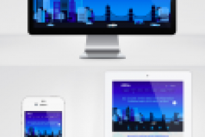 Бридж информ.