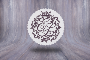 Логотип для видеоблогера