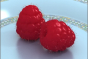 "Виртуальная малина"