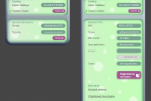 Интерфейс логина для "Squirrel Prepaid"