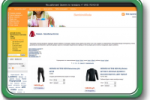 Наполнение интернет-магазина (WebAsyst)