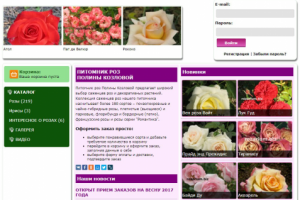 Интернет-магазин питомника роз https://rozarium.biz/