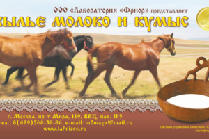 Флаэр "Кумыс"