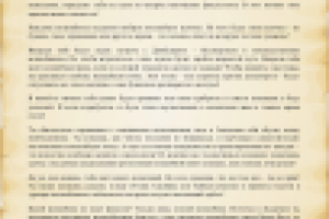 Описание программы в детском лагере