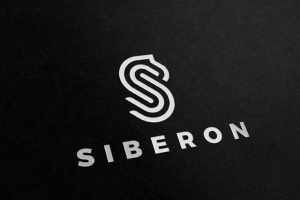 Работа 3133005