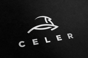 Работа 3132974