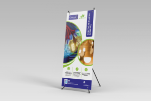 Роллап General