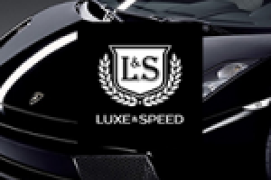 Логотип компании Lux&Speed