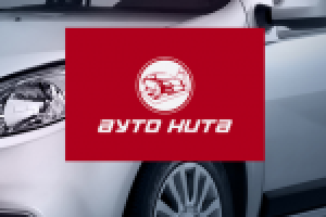 Логотип компании по техническому осмотру автомобиля "АУТО НИТА"