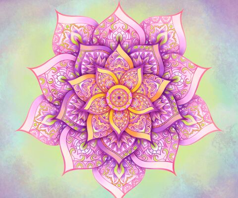 img4417173.png