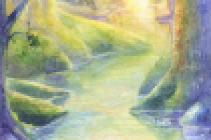 Волшебный лес