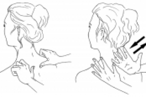 иллюстрации к книге "техника массажа"