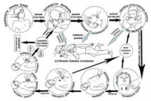 иллюстрация к книге "правила оказания первой помощи"