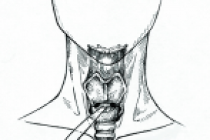 иллюстрация к книге "правила оказания первой помощи"