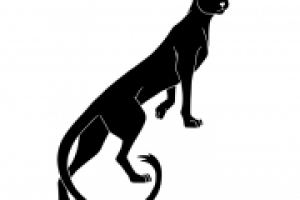 дикая кошка