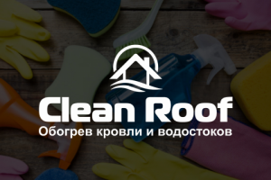 Clean Roof
