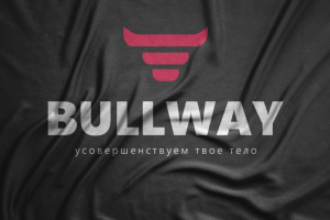 Разработка логотипа спортивного клуба