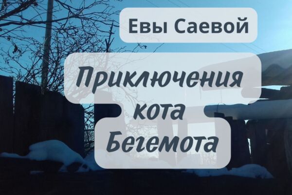 img4523554.png