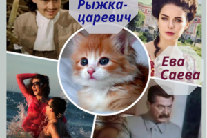 Рита, море и Рыжка-царевич