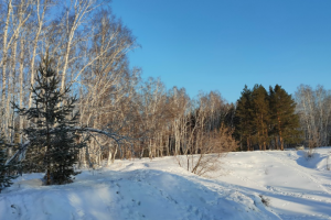 Зимушка-зима!