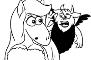 Ролик «Boomerang»