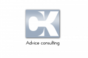 Совет Консалтинг