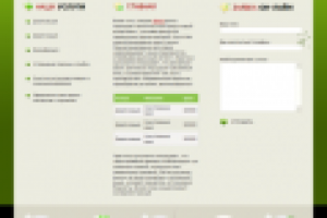 Интернет-проект компании ИРНА МАСТЕР