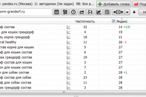 Оптимизация информационного сайта