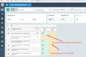 SEO оптимизация страницы - Женских футболок с надписями