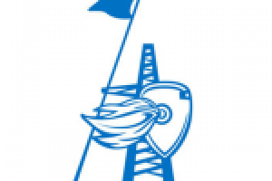 Работа 2206706