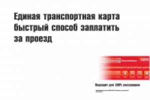 Работа 2204101