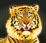 img2216474.png