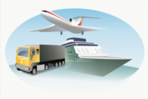 Работа 2155081